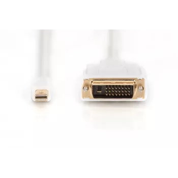 Kabel DisplayPort 1.1a Mini DP-DVI Typ A MM 2,0m