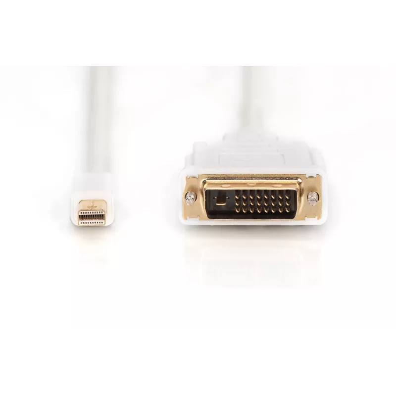 Kabel DisplayPort 1.1a Mini DP-DVI Typ A MM 2,0m