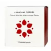 Christmas Fireside loser Schwarztee 100g - Teministeriet