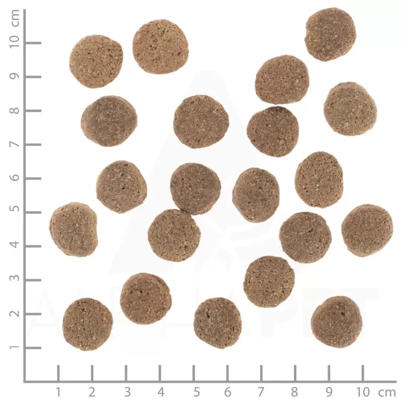 Trockenfutter für Hunde Wolfsblut VetLine Weight Management Truthahn — 12 kg, getreidefrei, 22% Protein, 8% Fett