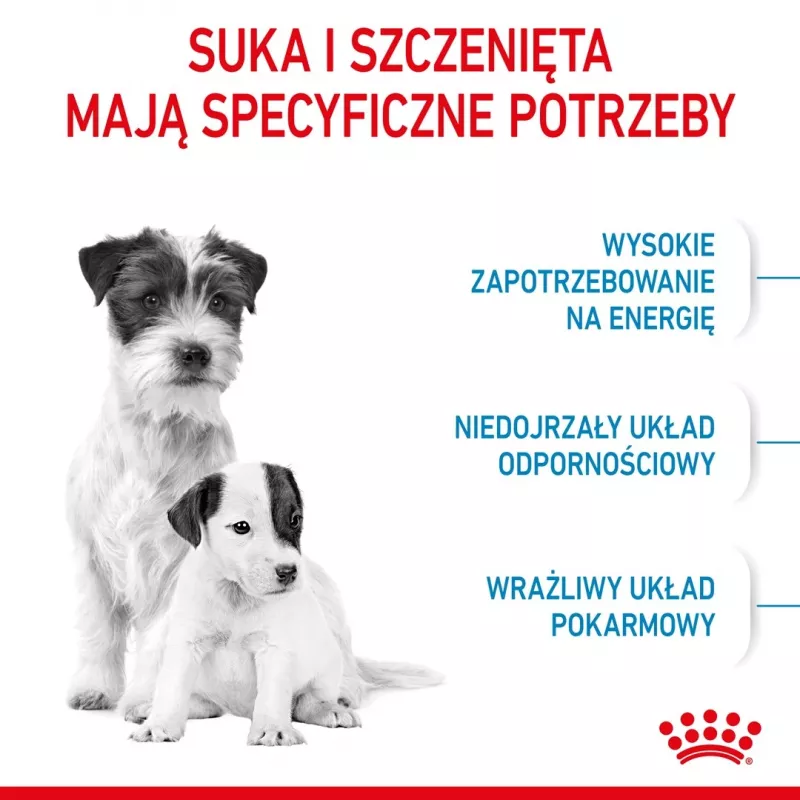 Trockenfutter für Hunde Royal Canin Starter Mutter & Babydog 1 kg — Huhn, 30% Protein, 22% Fett