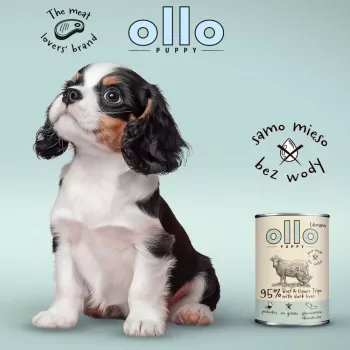OLLO Puppy Umami Rind und grüne Pansen mit Entenleber - Nassfutter für Hunde - 400g