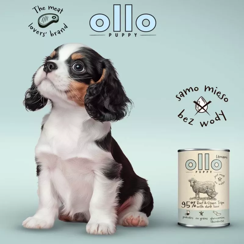 OLLO Puppy Umami Rind und grüne Pansen mit Entenleber - Nassfutter für Hunde - 400g