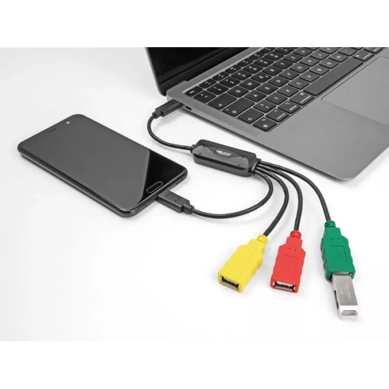 DeLOCK 4-Port USB 2.0 Kabel-Hub USB Type-C auf 3 x USB-A Buchse + 1 x USB-C Stecker