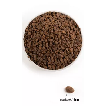 ORIJEN Regional Rot Cat - Trockenfutter für Katzen - 340 g
