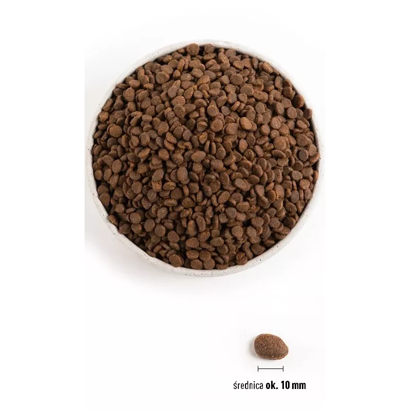 ORIJEN Regional Rot Cat - Trockenfutter für Katzen - 340 g