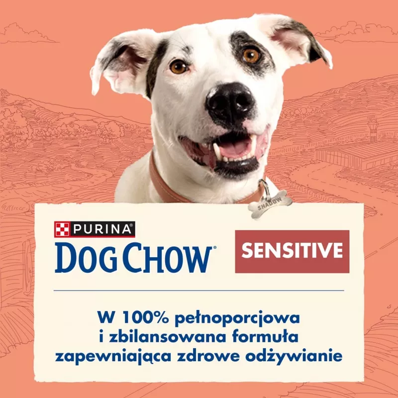 Purina DOG CHOW Sensitive Adult 14 kg Lachs