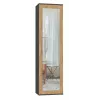Top e shop DUO SZAFA ANT/ART KP — 1 Tür, 2 Regale, 500×350×1800 mm