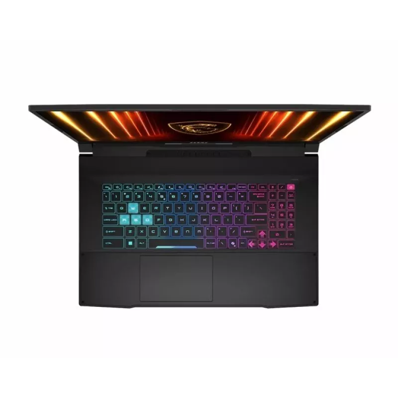 Laptop MSI Katana 17 HX B14WGK-036XPL 17,3 Zoll QHD+ 2560×1600 i7-14650HX 16 GB 1 TB NVMe RTX 5070 8 GB Windows 11-fähig