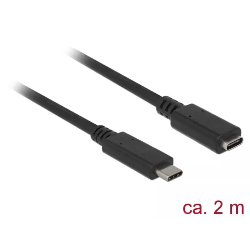 USB-Kabel DeLOCK SuperSpeed USB 3.2 Gen 1 2 m USB-C Schwarz