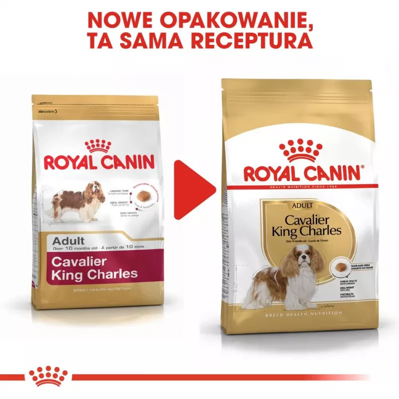 Trockenfutter für Hunde Royal Canin Cavalier King Charles Adult 1,5 kg — Huhn, kleine Rasse, Haut & Fell, Herzunterstützung