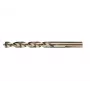 Extreme HSS 10,0 mm Bohrer