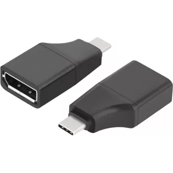 ROTRONIC-SECOMP VALUE - Videoadapter - 24 Pin USB-C (M) auf DisplayPort (W)