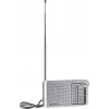 Panasonic RF-P150DEG Tragbares Analogradio Silber