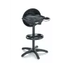 Elektrischer Outdoor-Standgrill Kochstation Schwarz 2000 W SEVERIN PG 8541