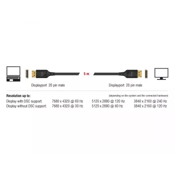 DisplayPort-Kabel DeLOCK 85658 1 m Schwarz