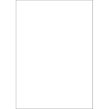 Stanzetikett HERMA 10783 21x29,7 cm 1 Stück