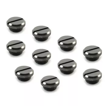 XSPC G1/4 Zoll V2 Verschlussschraube mit Gewinde, 10er-Pack – Schwarz-Chrom