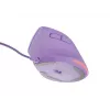 NATEC Crake 2 Pro Maus Universal Rechtshänder USB Typ-A Optisch 12800 DPI