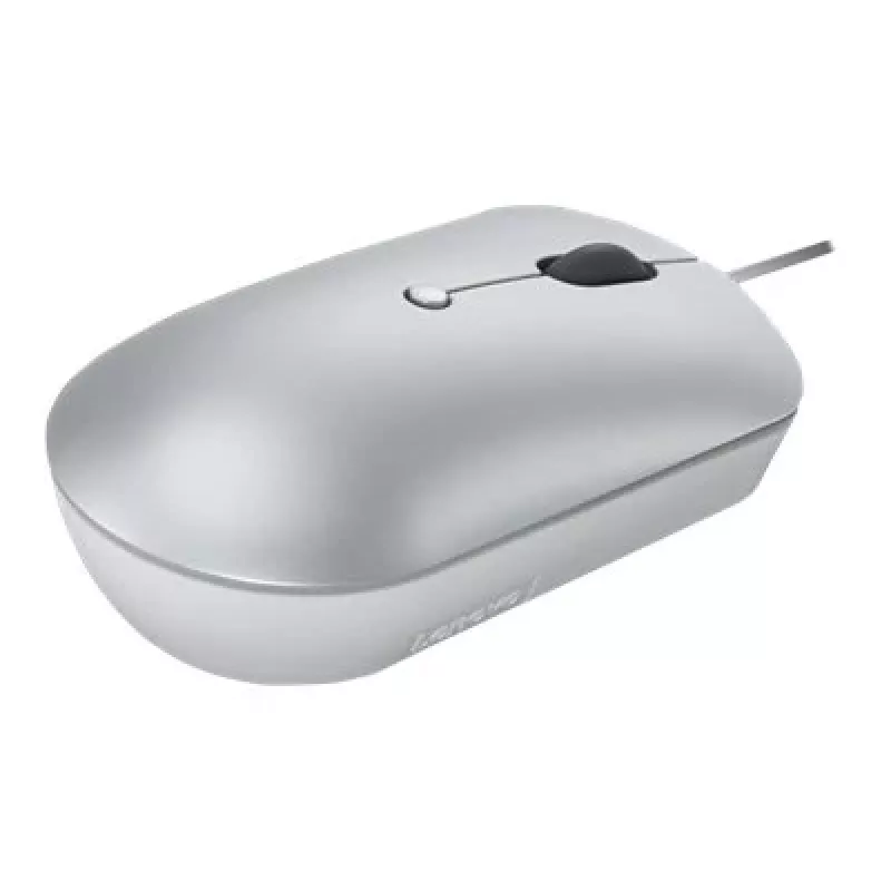Kabelgebundene optische beidhändige Maus Lenovo 540 USB Typ-C, 3 DPI-Modi, grau, 4 Tasten, 1,8 m Kabel