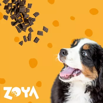 Trockenhundefutter ZOYA ColdPRO Lamm 3 kg — Alleinfuttermittel für adulte Hunde in Krokettenform, 26% Protein, 9,5% Fett