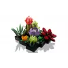 Lego Icons 10309 Sukkulenten