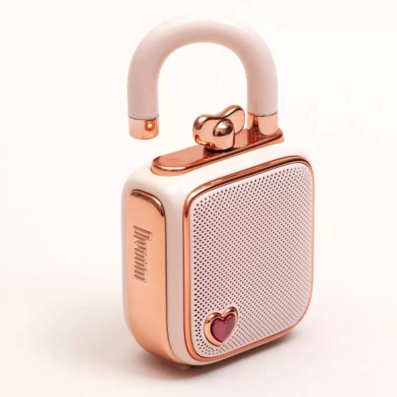 Tragbarer Mono-Lautsprecher Divoom LoveLock Pink
