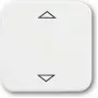 Busch-Jaeger 2CKA006430A0314 Smart-Home-Aktor Auslöser für Rollladen/Jalousie (2CKA006430A0314)
