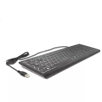 DeLOCK 12170 Tastatur Universal USB QWERTZ Deutsch Schwarz Mechanisch RGB