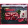 Adventskalender Gedore R33003151 2025 — werkzeugthematischer Kalender, limitiertes Set