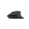 Natec Wireless Maus Siskin 2 BT 5.0 + 2.4GHZ