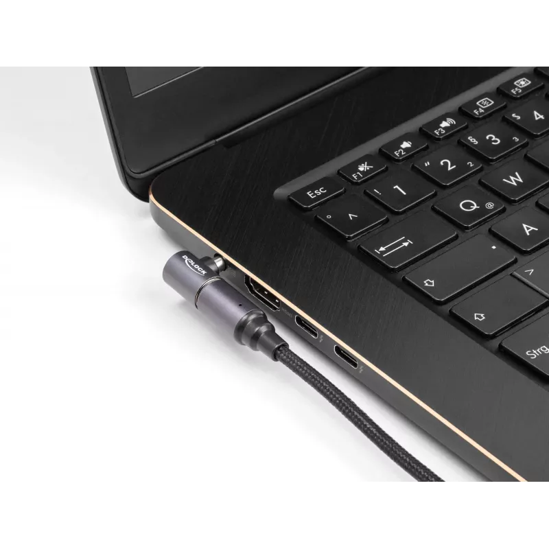 Netzkabel DeLOCK 80781 0,15 m USB-C 8-Pin 20 V