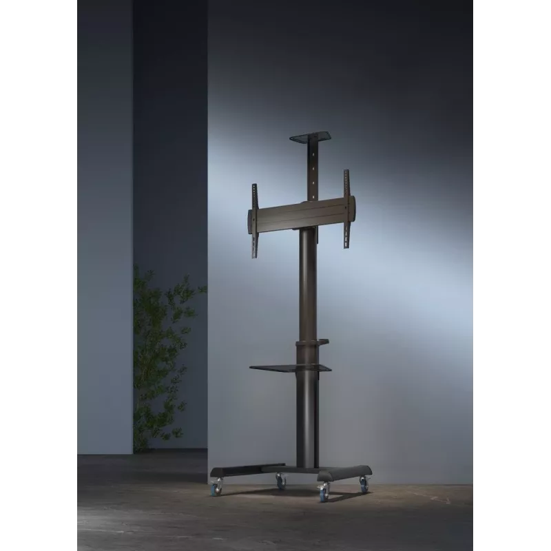 Boden-TV-Ständer Gembird TVS-70T-02 für 37 Zoll–70 Zoll Bildschirme, max. 70 kg, VESA 200x200–600x400, neigbar ±5°/−12°, höhenverstellbar, Rollen, Kabelmanagement