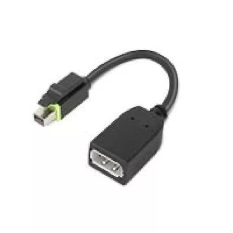 Lenovo 4X90Q93975 Videokabel-Adapter Mini DisplayPort DisplayPort Schwarz