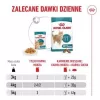Nassfutter für Katzen Royal Canin FHN Ageing 11+ Gravy 12×85 g – Senior Komplett-Nassfutter in Schalen