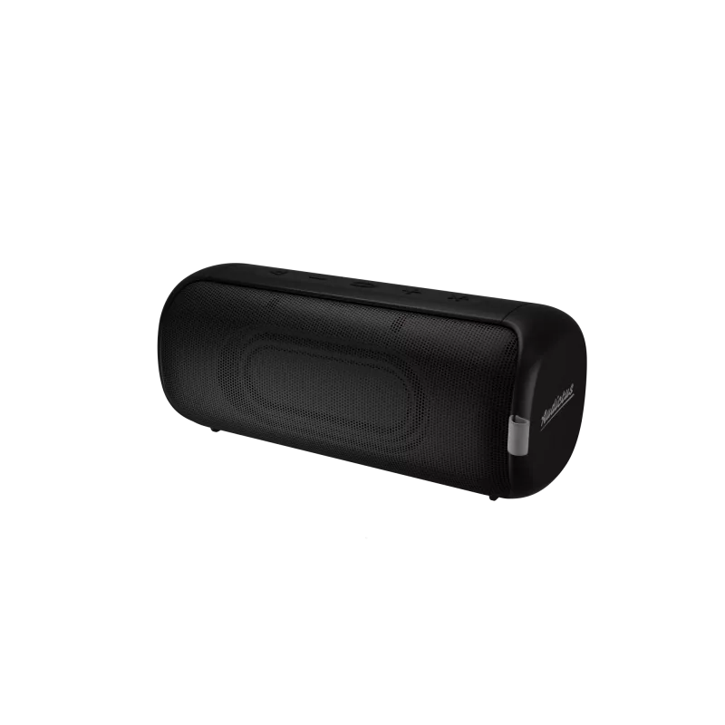 Stereo tragbarer Lautsprecher Audictus Aurora Pro 20 W