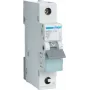 Hager MBS132. Nennstrom: 32 A, Netzfrequenz: 50/60. Typ: B-Charakteristik, Modulanzahl (max): 1 Modul(e). Breite: 17,5 mm, Tiefe: 70 mm, Höhe: 83,4 mm (MBS132)