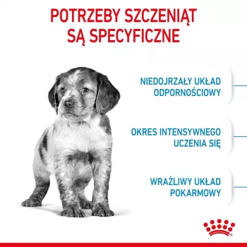 Trockenhundefutter Royal Canin Medium Puppy 4 kg — für mittelgroße Rassen 10–25 kg, Protein 32 %, Fett 20 %, Huhn