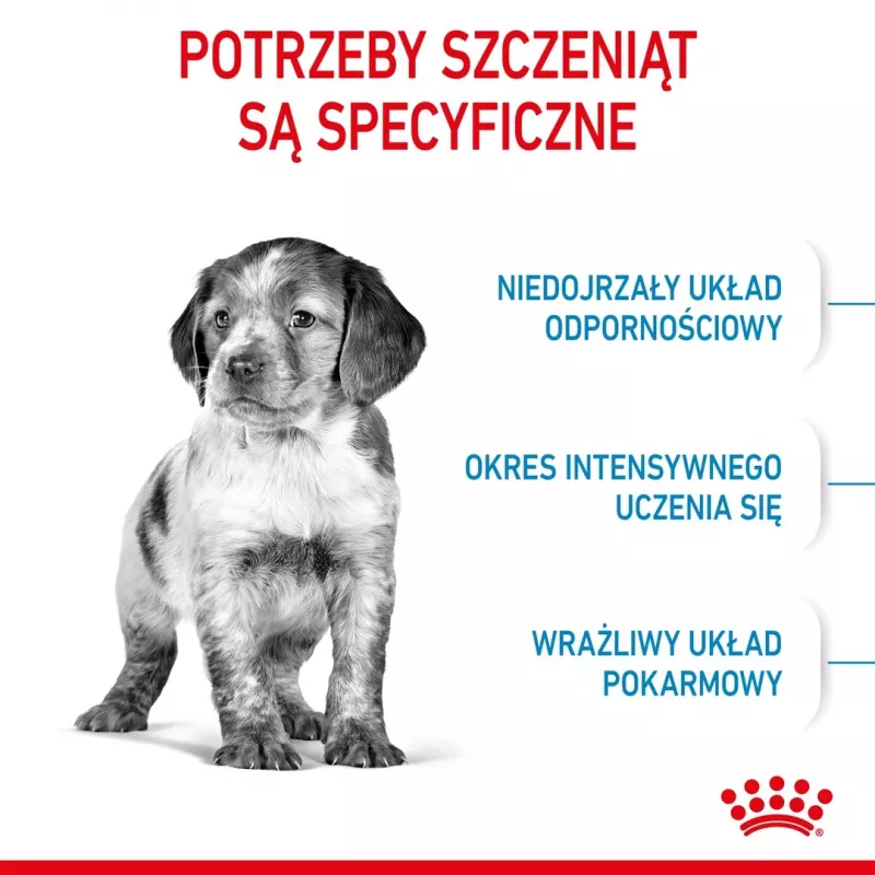 Trockenhundefutter Royal Canin Medium Puppy 4 kg — für mittelgroße Rassen 10–25 kg, Protein 32 %, Fett 20 %, Huhn