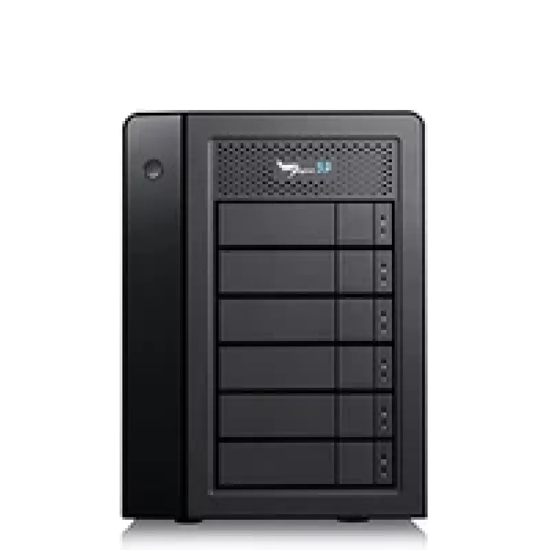 HDD Promise Technology 24 TB Tower Schwarz Pegasus32 R6