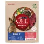 Trockenfutter für Hunde Purina Nestle Mini Adult Rind & Reis 800 g – Trockenfutter für kleine ausgewachsene Hunde, 27 % Protein, 17 % Fett