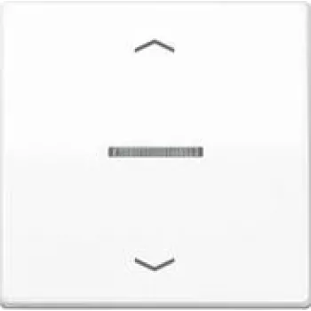 Jung BTA17101BFPWW JUNG HOME Taste 1-fach mit Pfeilsymbolen (BTA17101BFPWW)