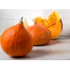 Uchiki Kuri Kürbis Toraf Gemüsesamen, 5g Packung