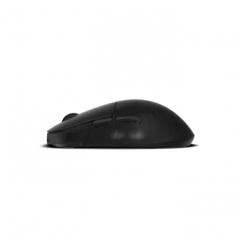 Maus Endgame Gear XM2w 4k Wireless