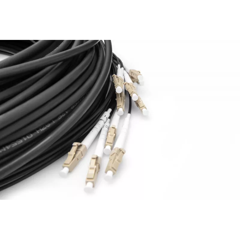 Breakout-Kabel Digitus DK-2433CU030BK-BBB 30m OM4 12 Fasern LC/UPC