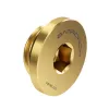 Barrow Verschlussstopfen G1/4 AG - gold (FBTBLDS go)