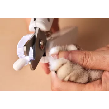 PETKIT Aufgerüsteter LED-Licht Katzen-Hunde-Nagelknipser PRO Cutter Professionell beleuchtete Blutlinie Katzenmoos Haustier Krallentrimmer Schönheit