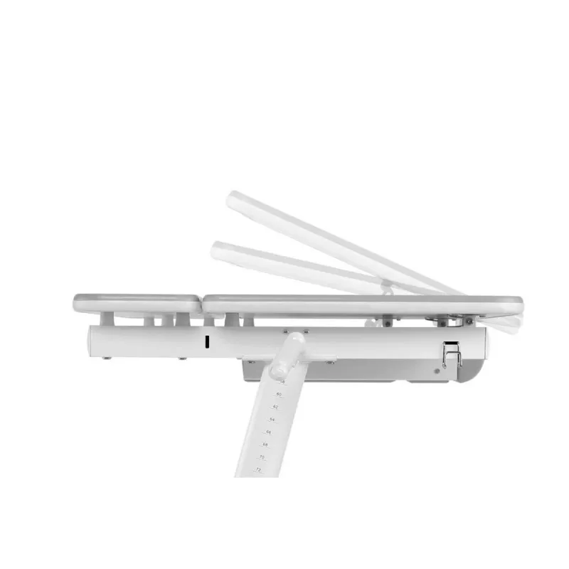 Ergo Office Kinder ergonomisch höhenverstellbarer Schreibtisch, grau, max. 100 kg, ER-417 2cz