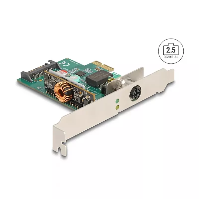 DeLOCK 90760 Interne Netzwerkkarte 2500 Mbit/s PCI Express Kabelgebunden