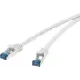 Netzwerkkabel Renkforce RJ45 CAT 6a S/FTP 0,25 m Grau